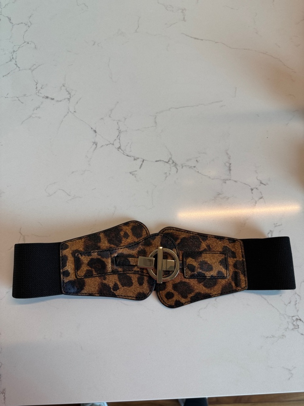 bebe Leopard Print Elastic Waist Belt with Gold-Tone Circular Buckle